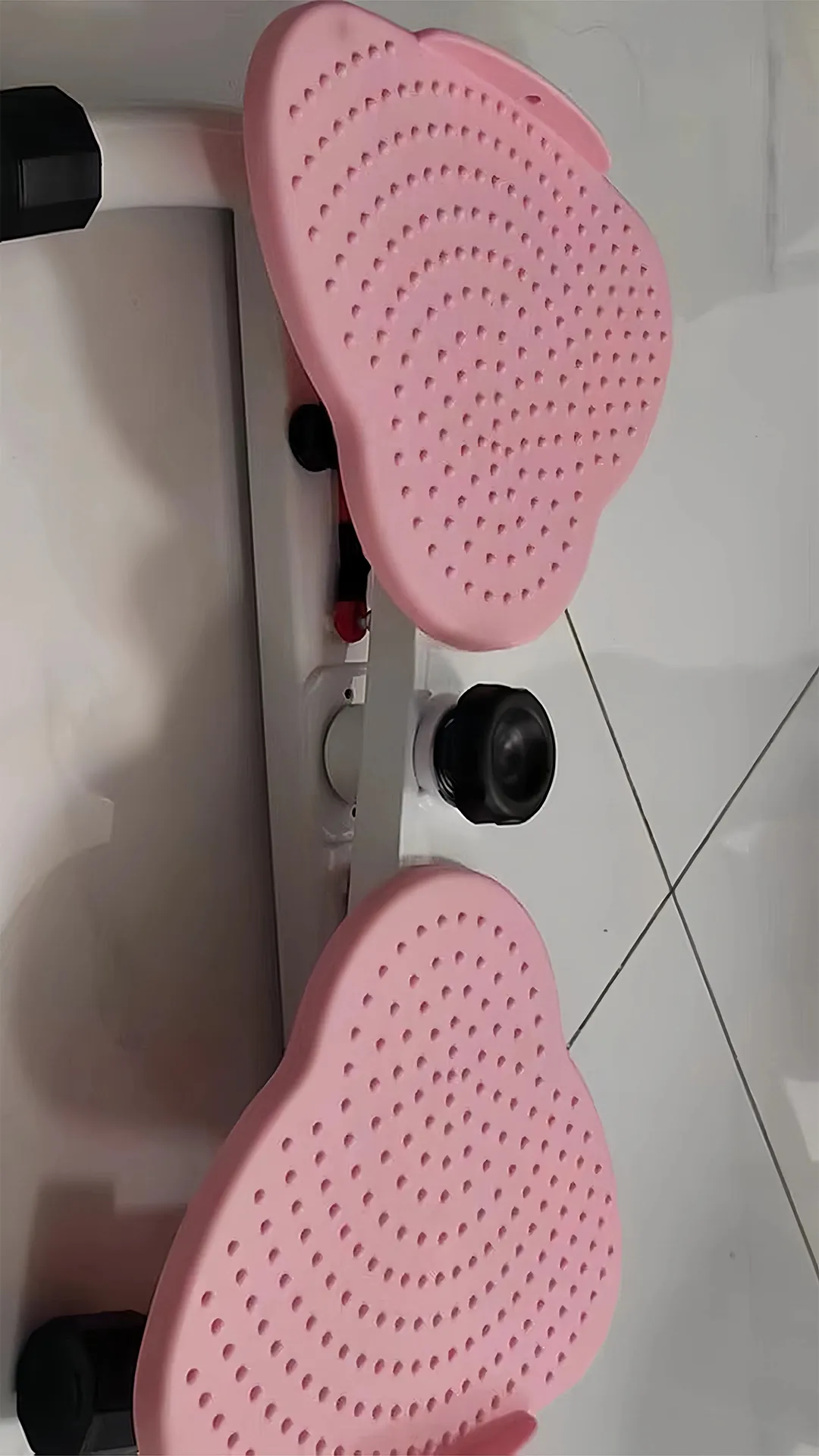 Exercise Twist Boards 1