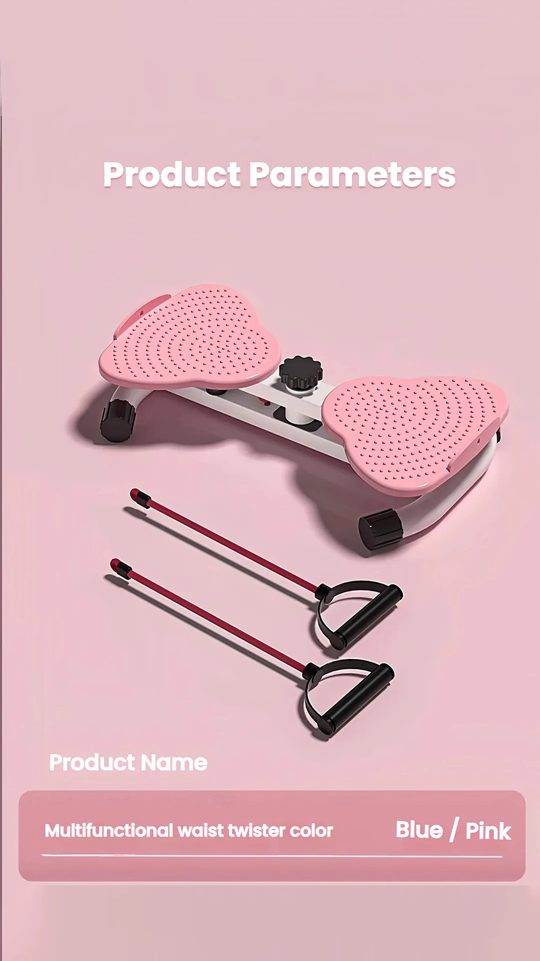Exercise Twist Boards 3