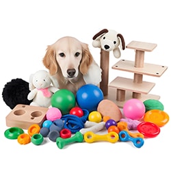 Pet Toys